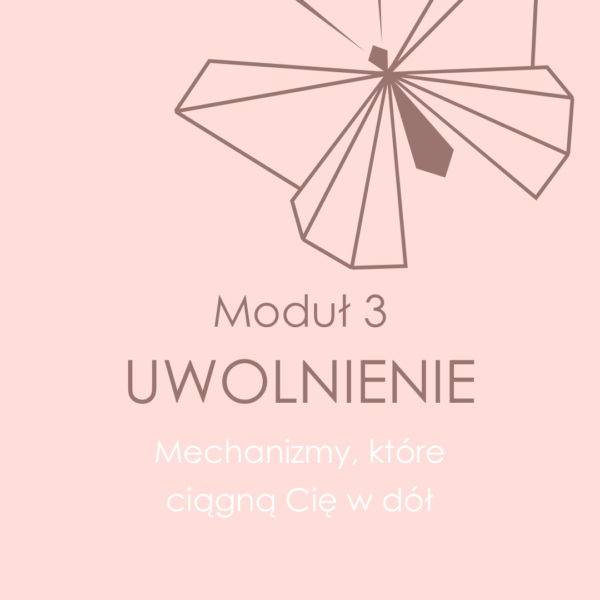 modul3